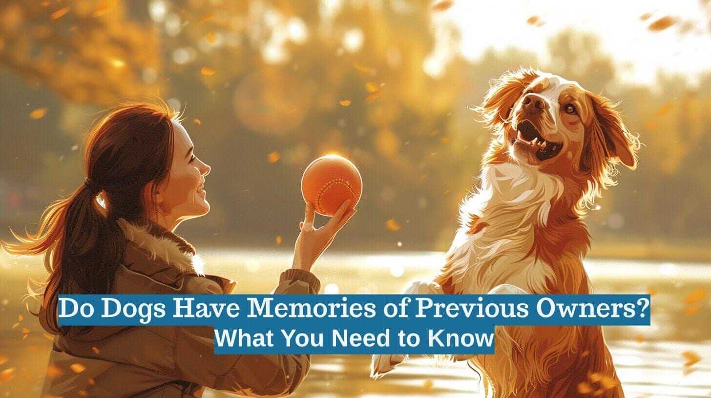 A woman playing fetch with a dog by a serene lake during the vibrant hues of autumn. The text ponders: do dogs have memories of previous owners, reflecting on the bonds that linger in loyalty and affection.