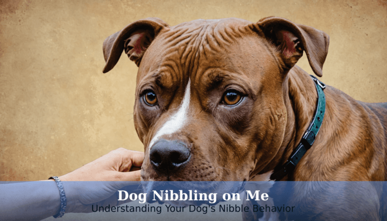 A brown and white dog with a green collar gently nibbles on a person's hand. Text overlay reads,