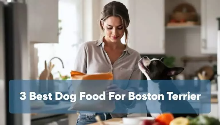 3 Best Dog Food for Boston Terrier: Top Picks for Your Boston Terriers